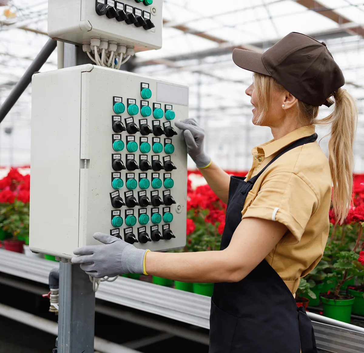 Female flowers greenhouse worker presses a button on a control panel to start the process of watering plants using an intelligent irrigation machine