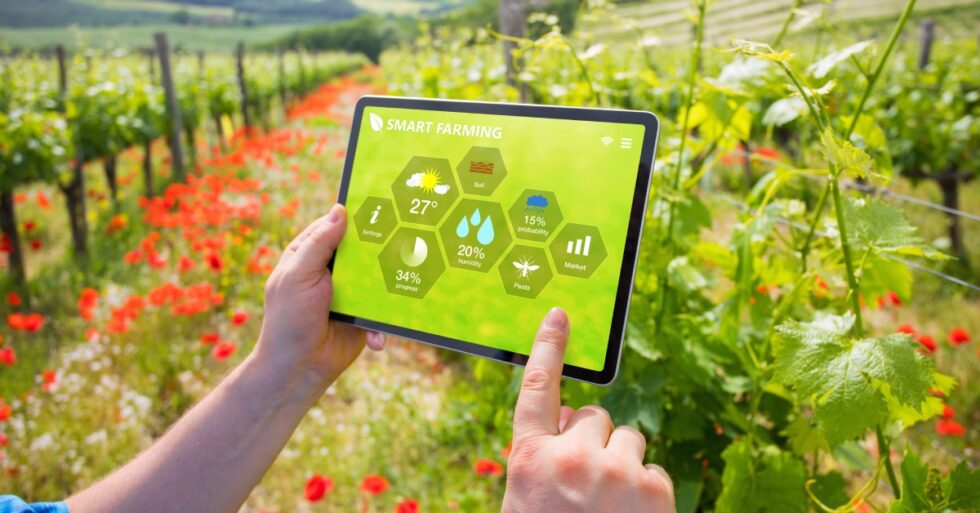 7 Ways Technology Is Transforming the Food Industry